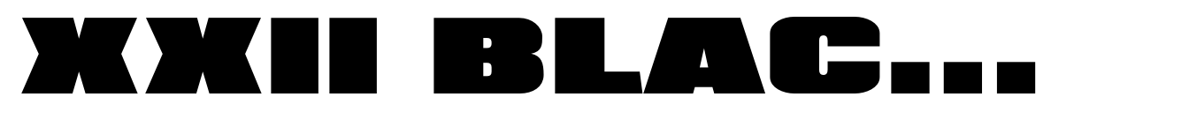 XXII BLACK-BLOCK Norm
